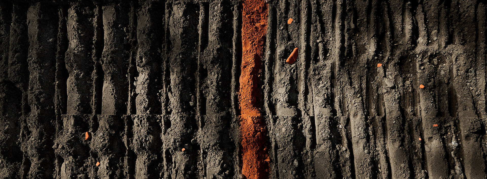 marks of modernity